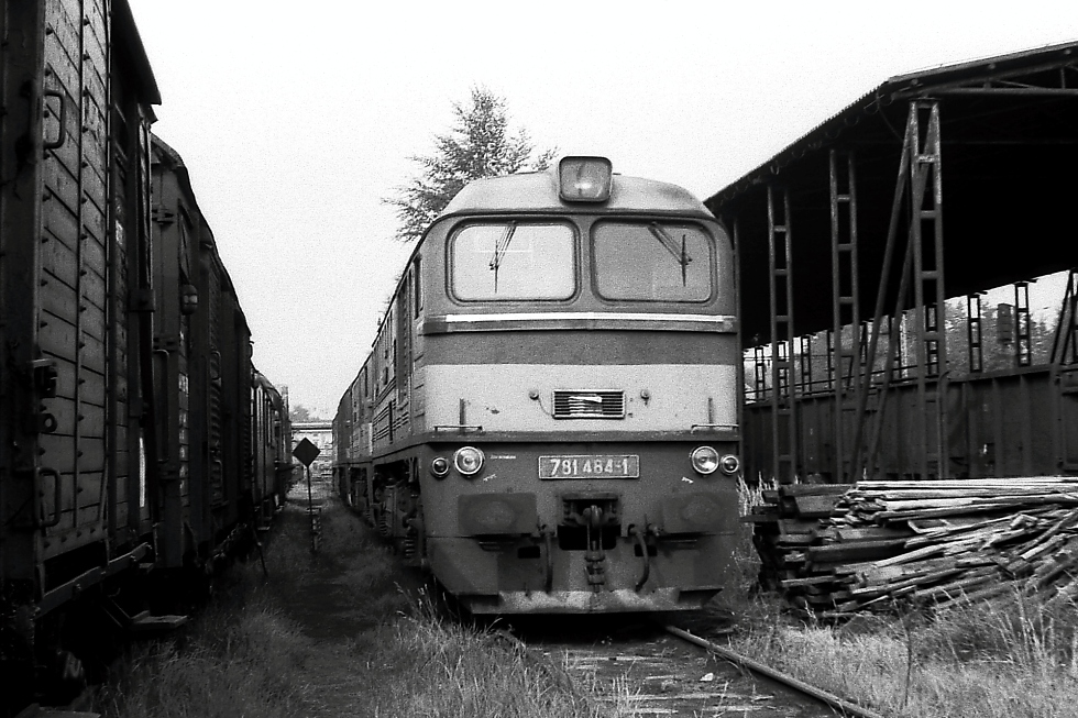 781 484-1