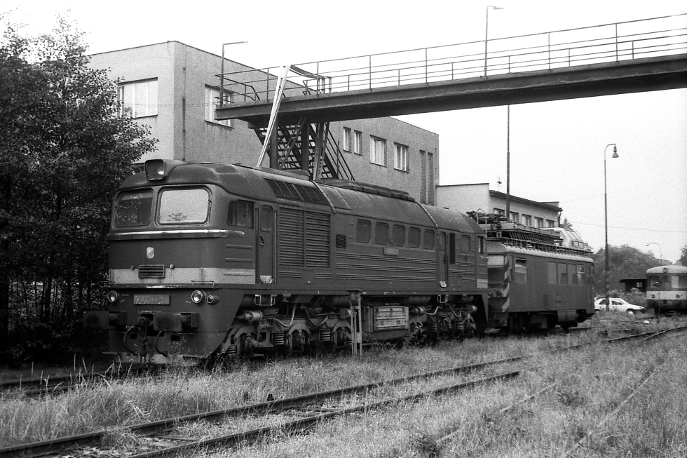 781 569-9