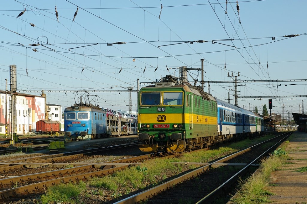 163 216-5