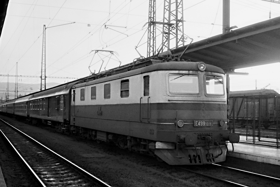 E499.1019