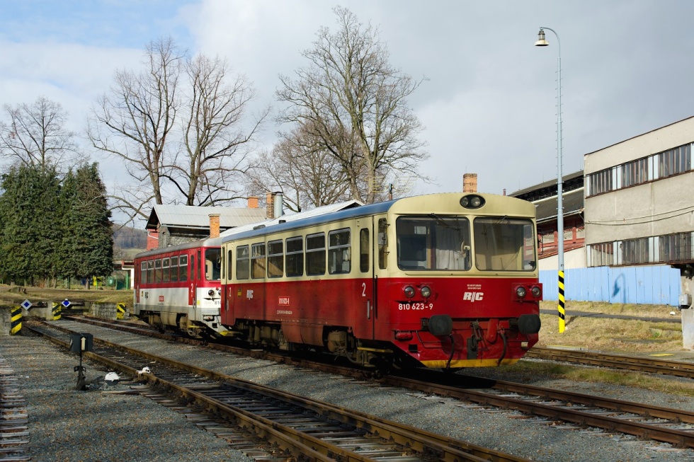 810 623-9