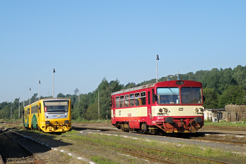 810 557-9