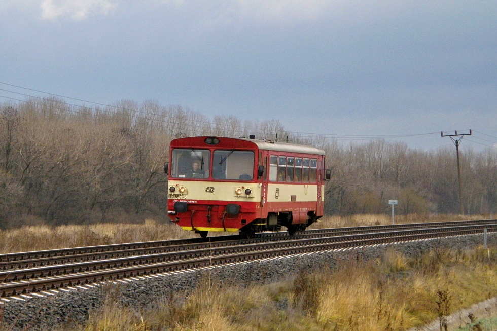 810 559-5