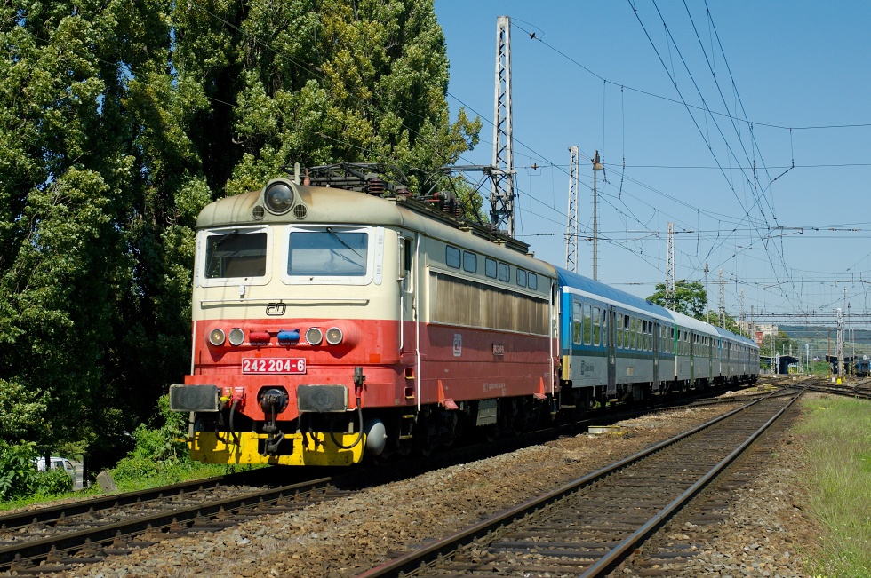 242 204-6