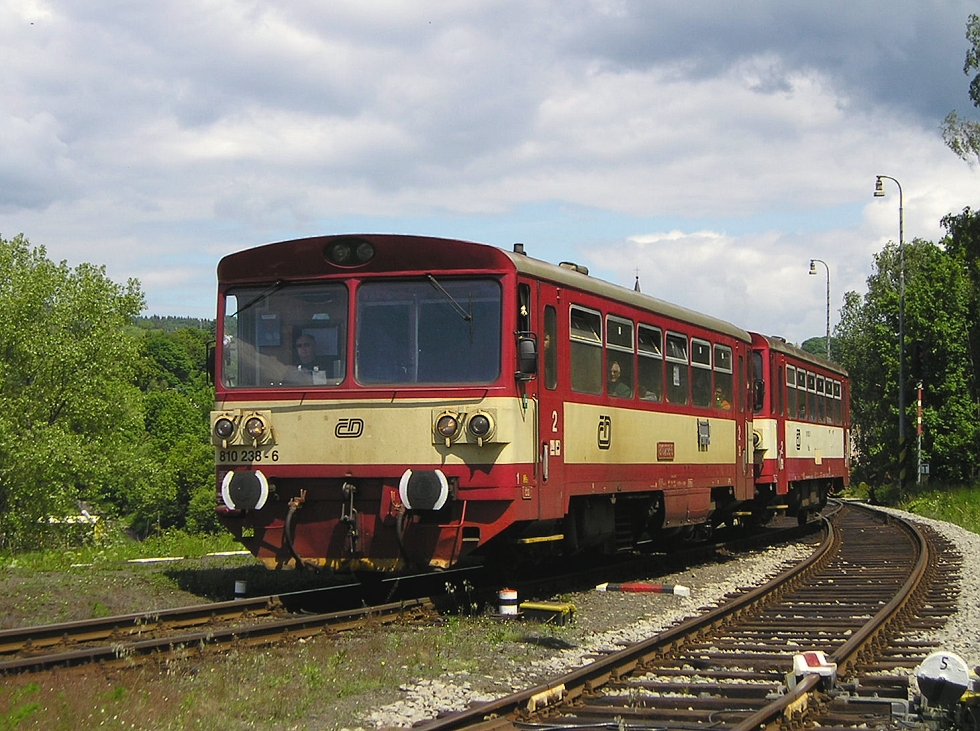810 238-6