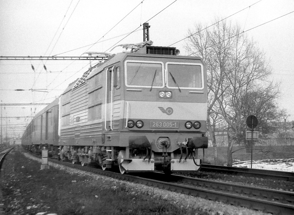 263 005-1