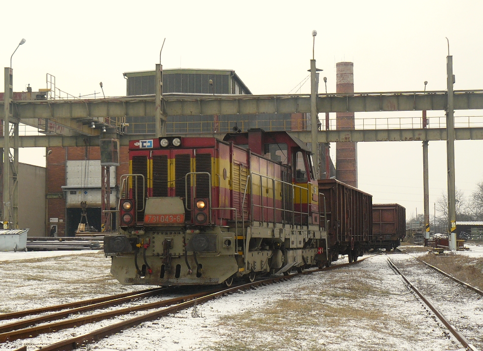 731 043-6