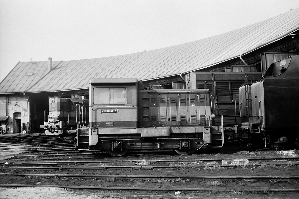 703 031-5
