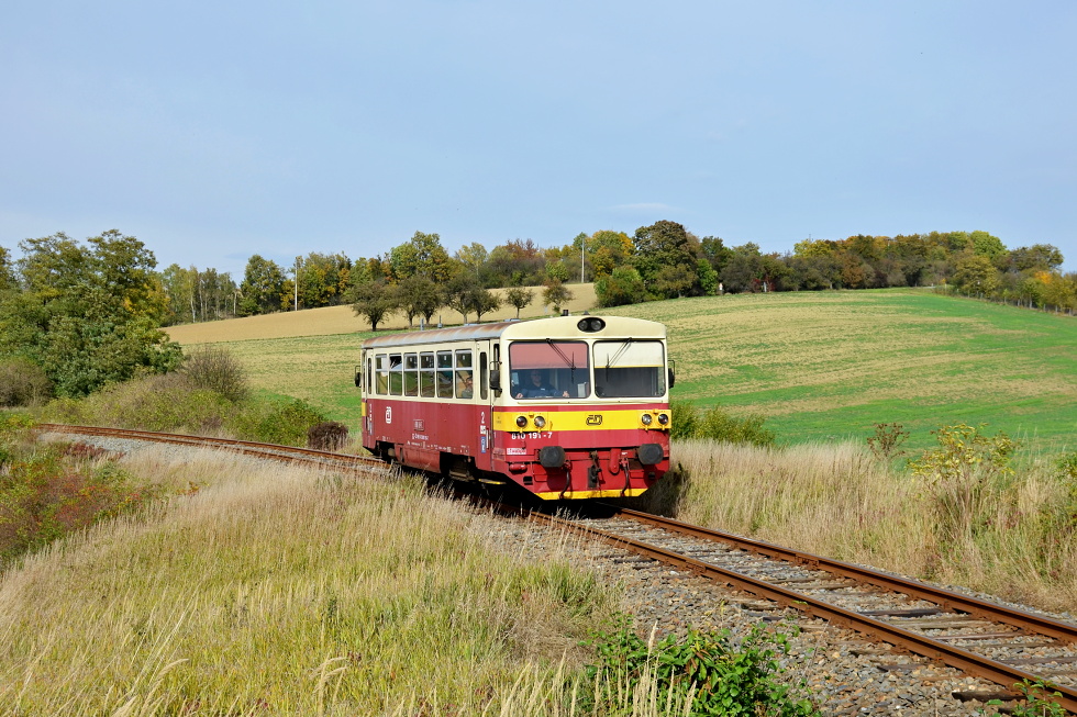 810 191-7