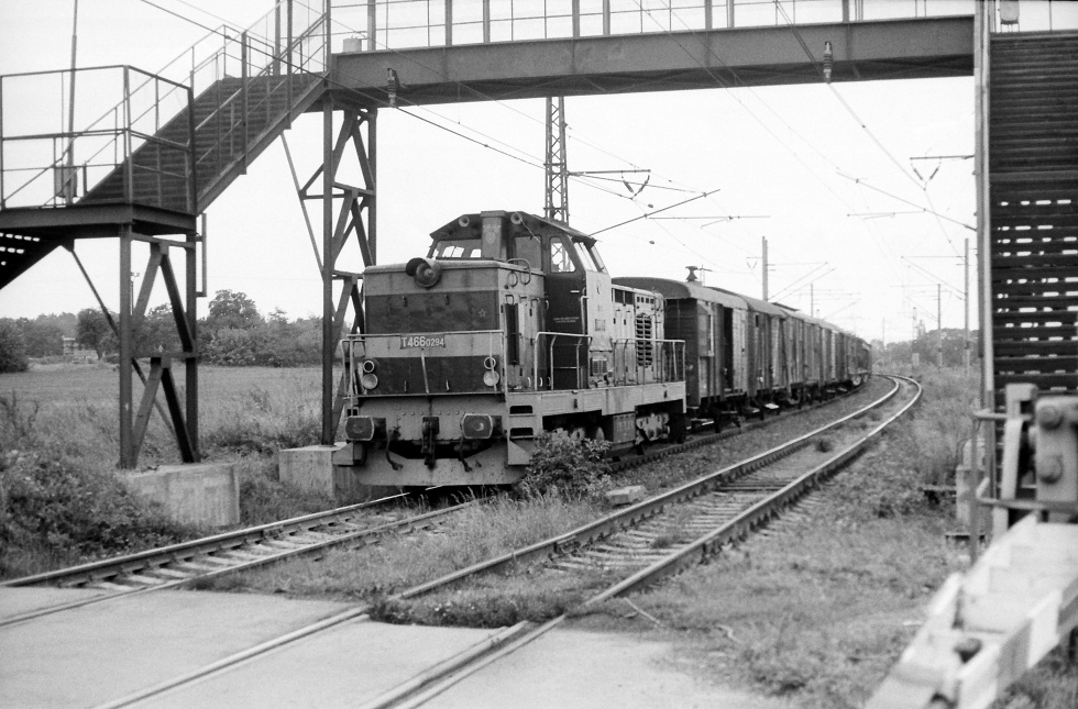 T466.0294