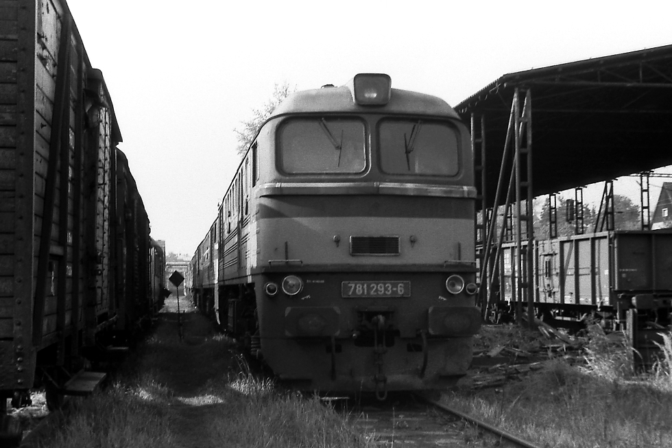 781 293-6