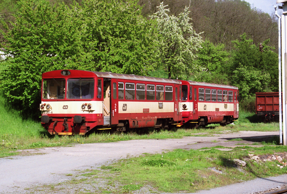 810 257-6