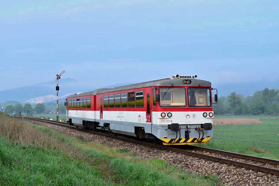 813 007-6