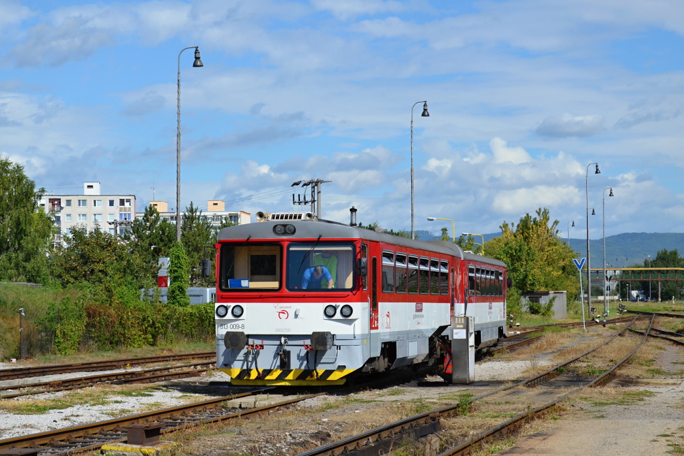 813 009-2