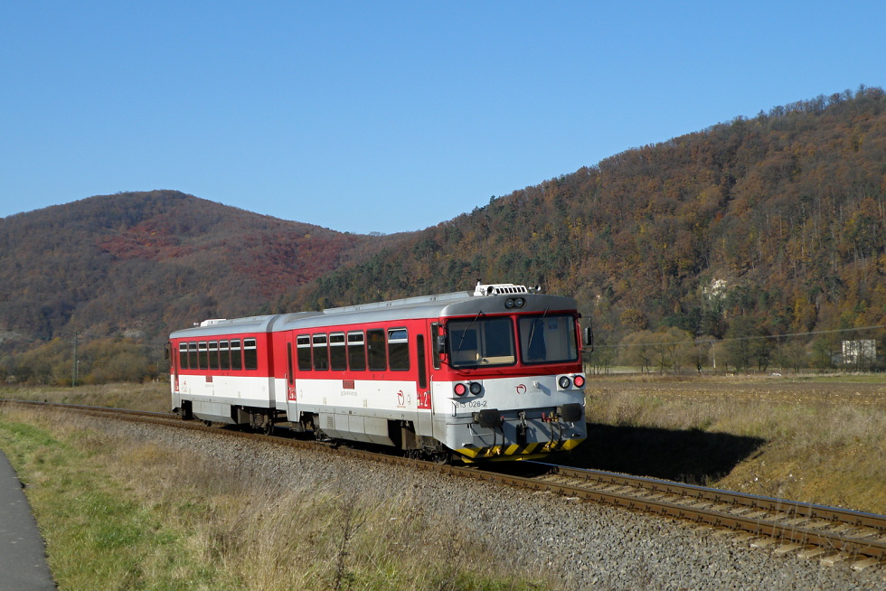 813 026-6