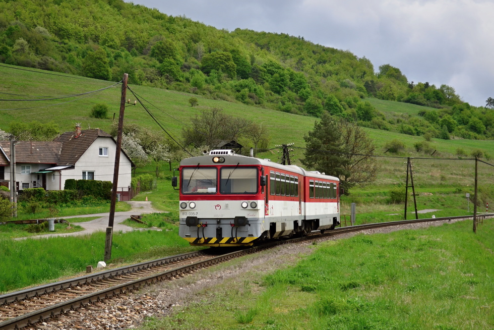 813 035-7