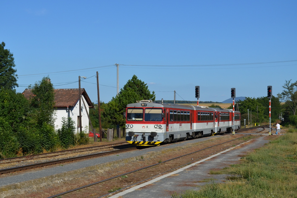 813 036-1
