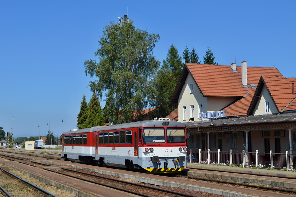 813 043-7