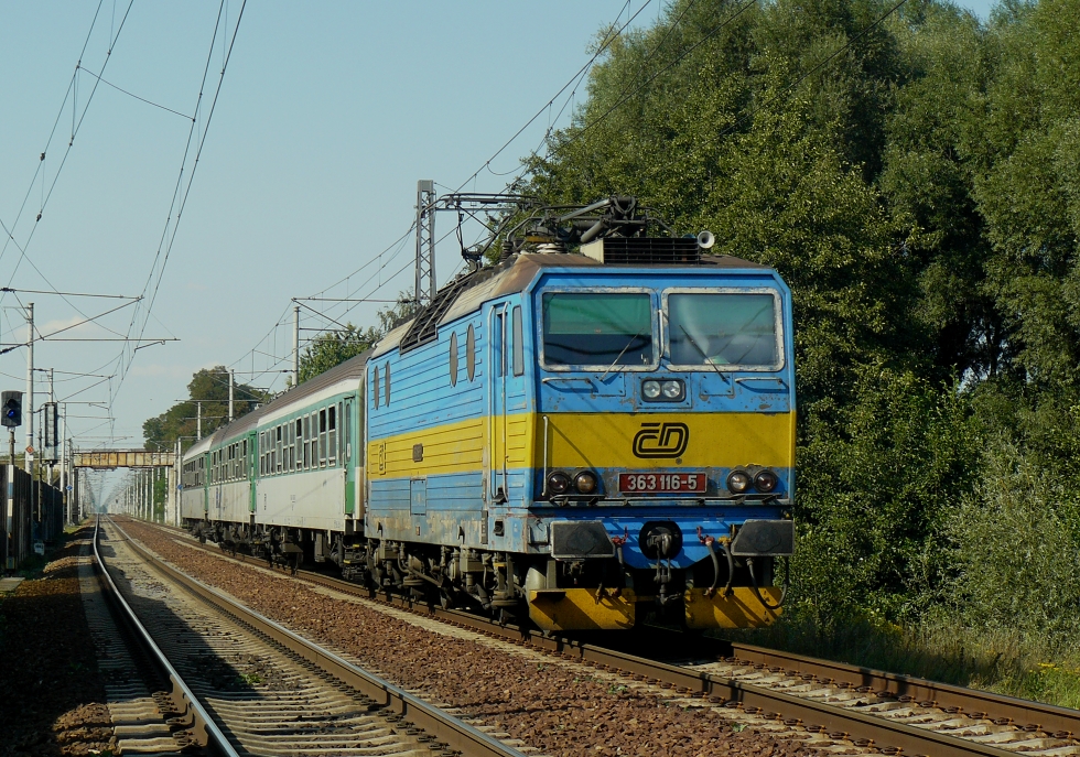 363 116-5