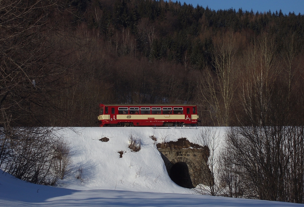 810 036-4