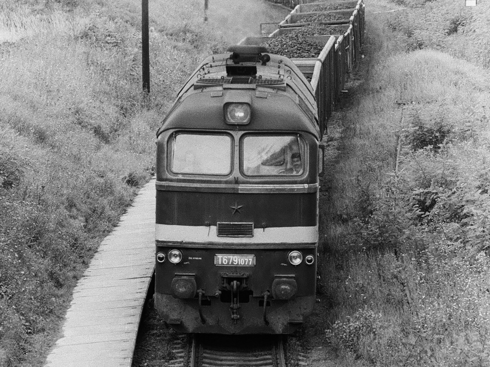 T679.1077