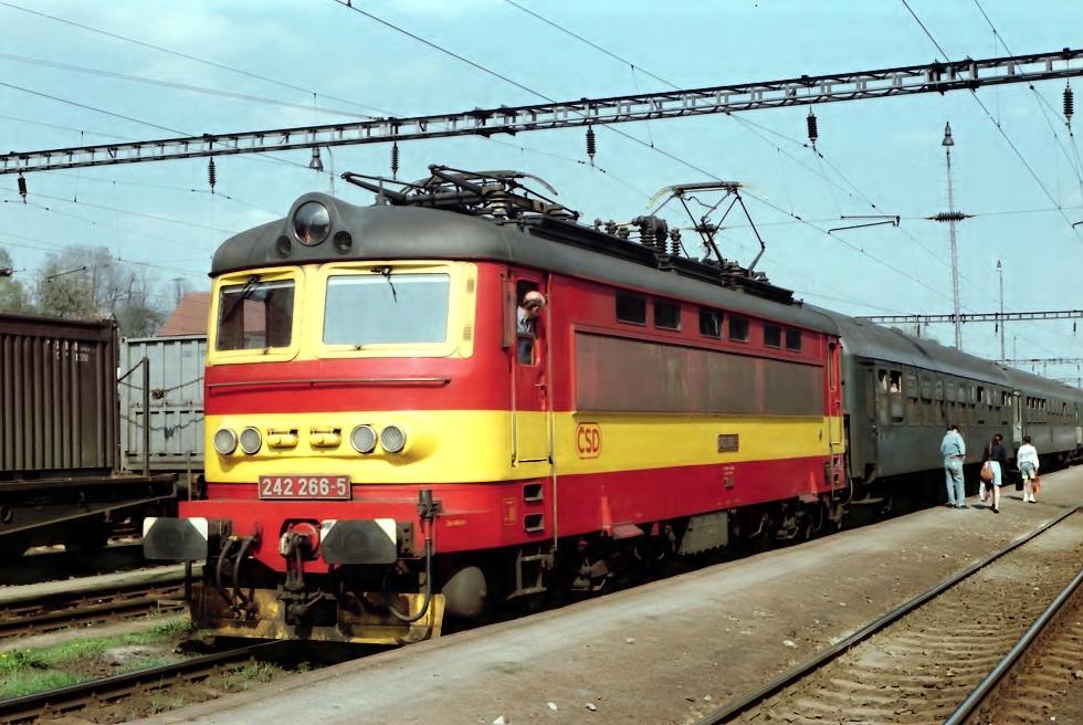 242 266-5
