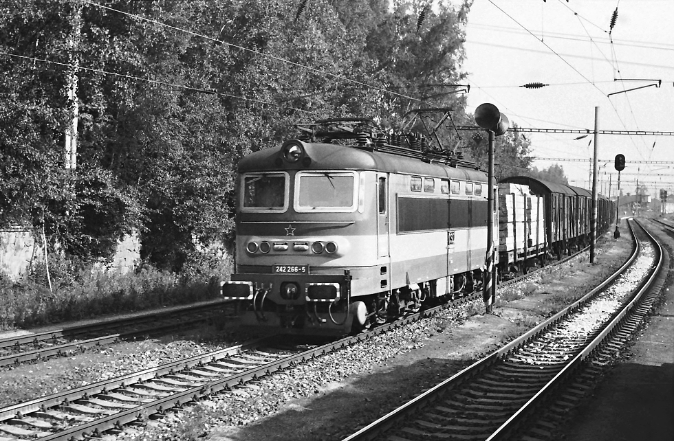 242 266-5