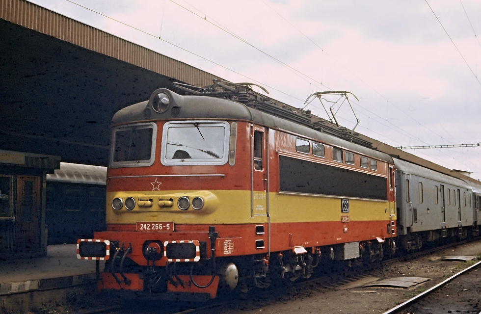 242 266-5
