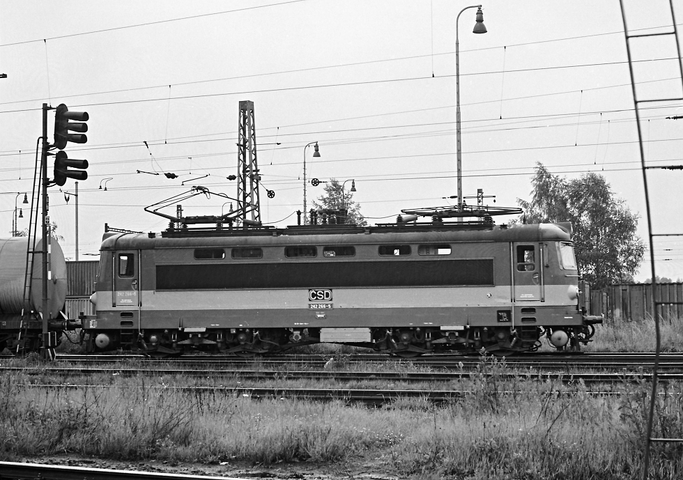 242 266-5