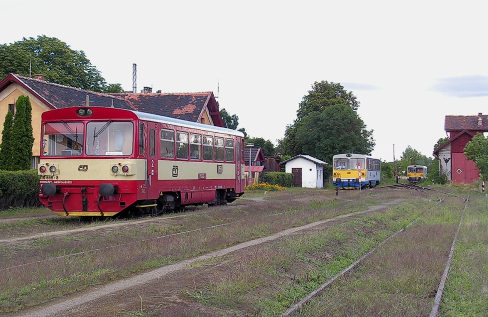 810 666-8