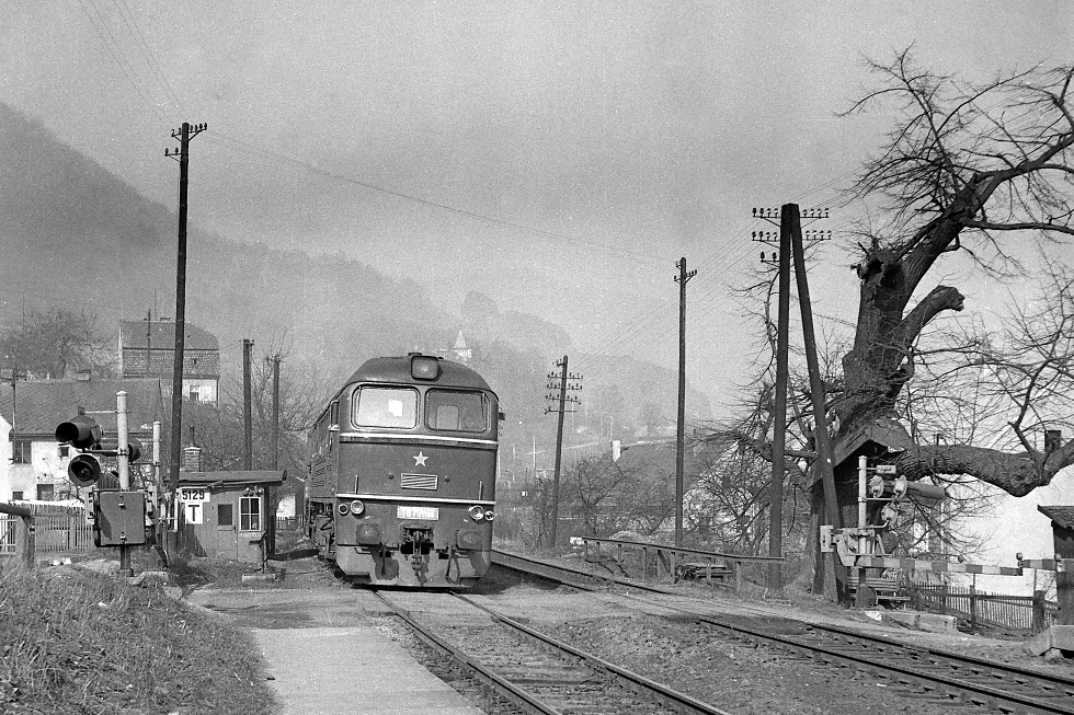 T679.1196