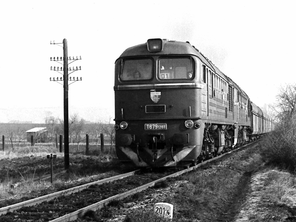 T679.1261