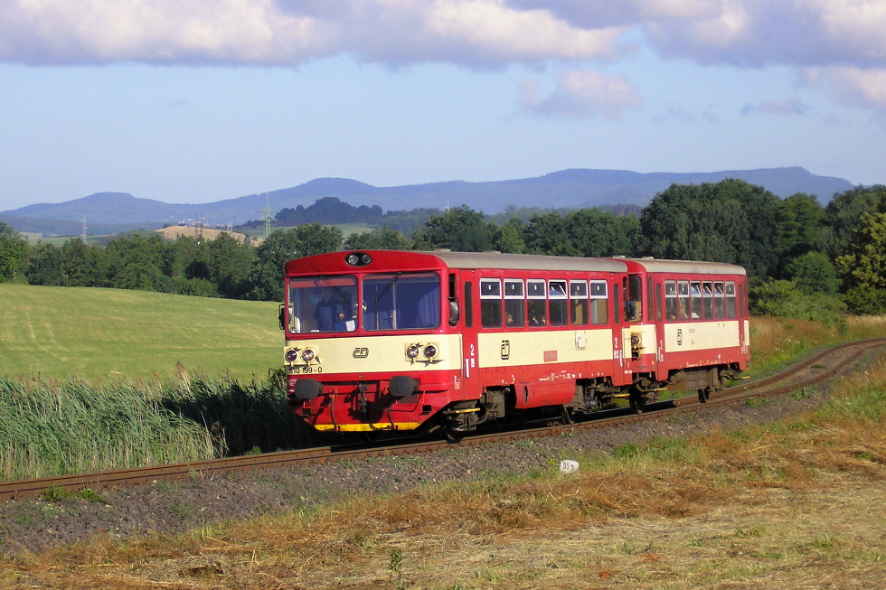 810 199-0