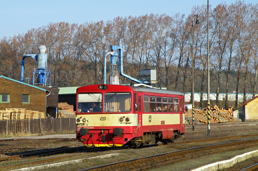 810 304-6