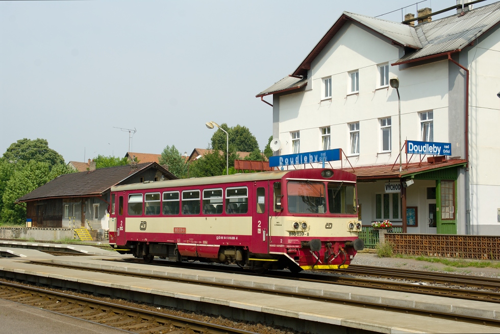 810 039-8