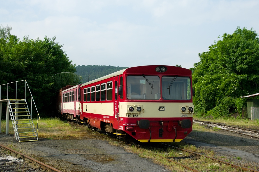810 165-1