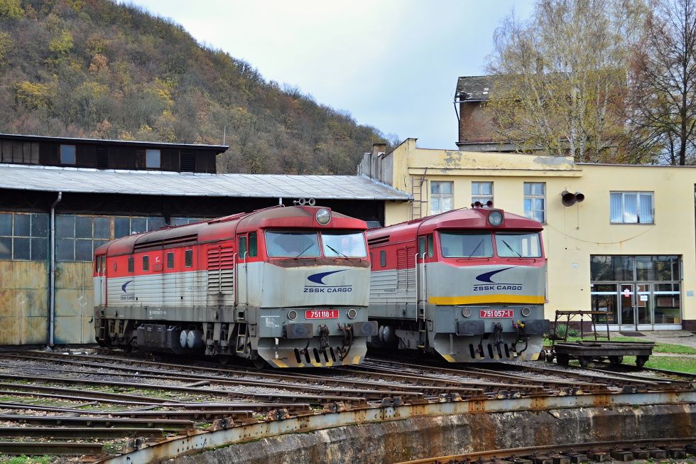 751 118-1