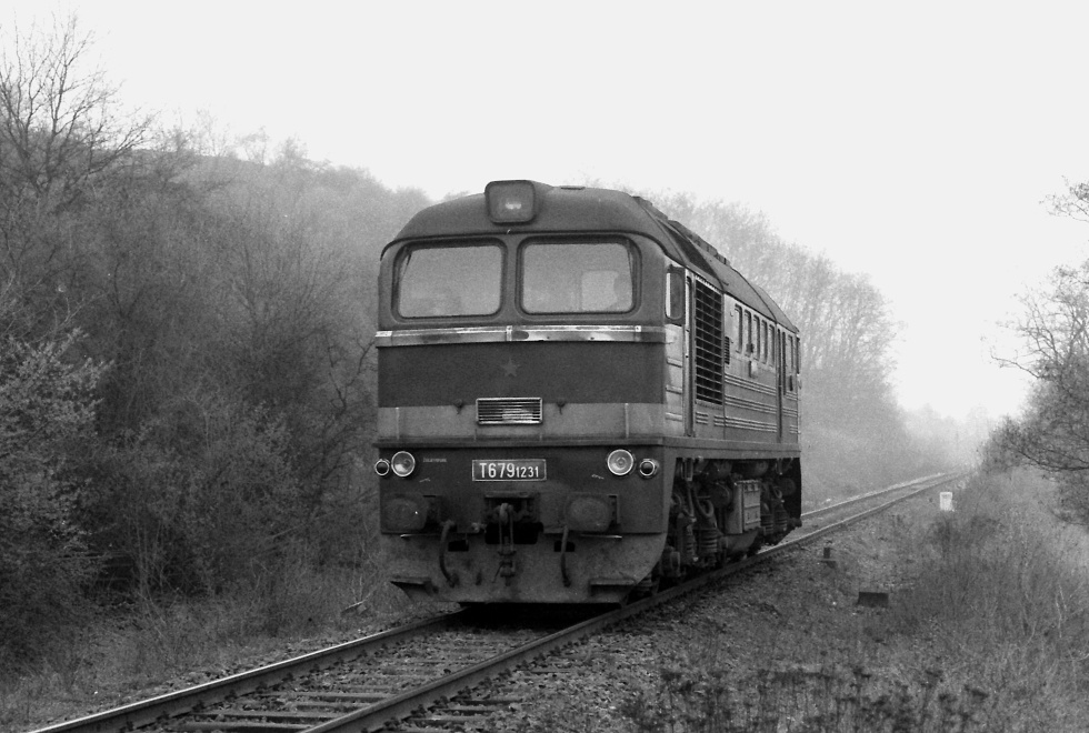 T679.1231