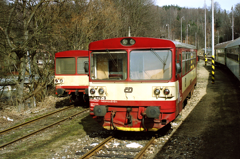810 425-9