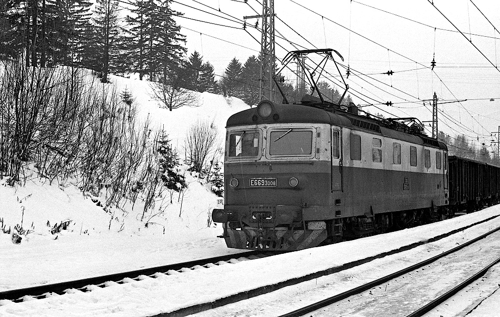 E669.3008
