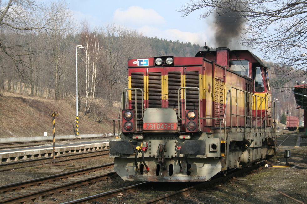 731 043-6