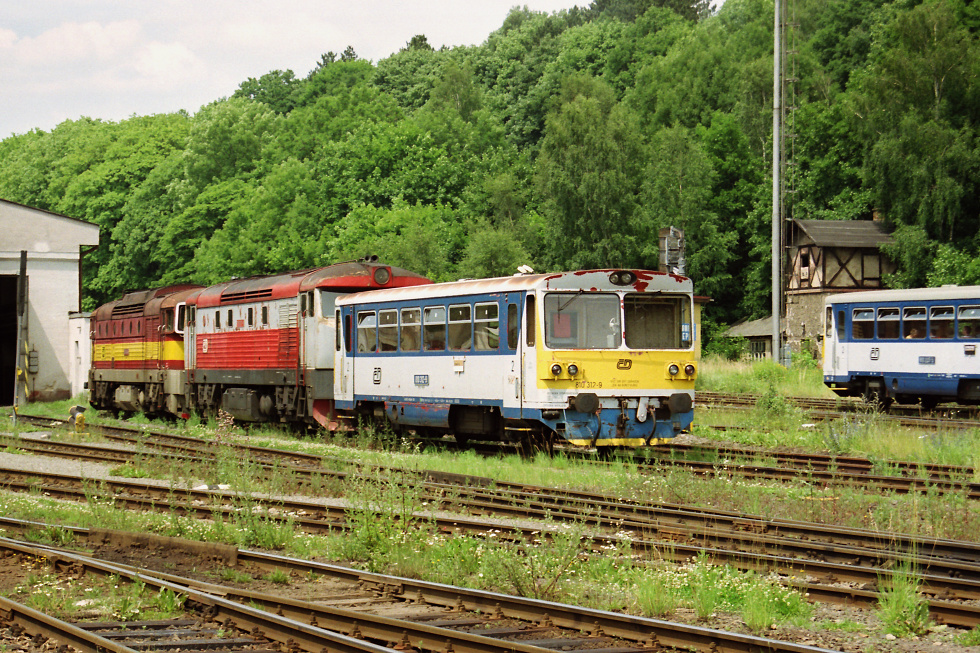 810 312-9