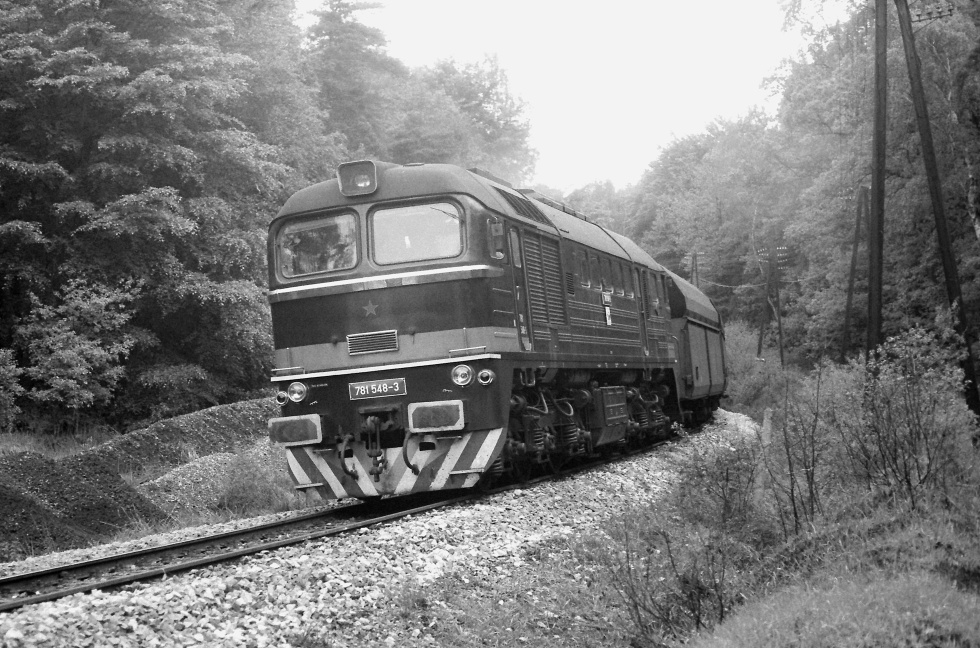 781 548-3