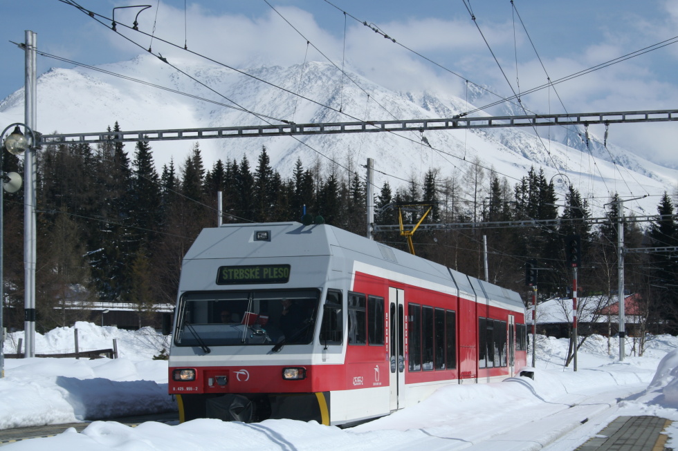 425 955-2