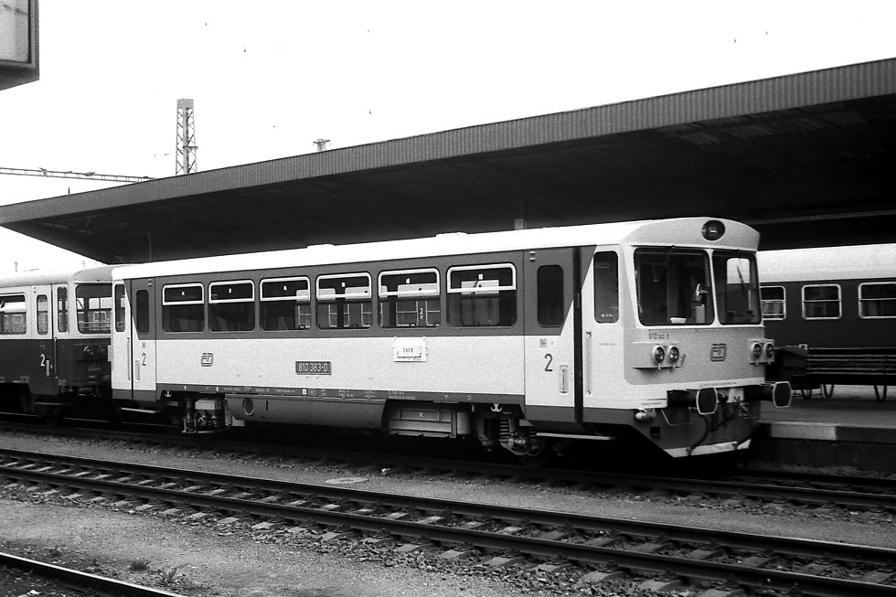 810 383-0
