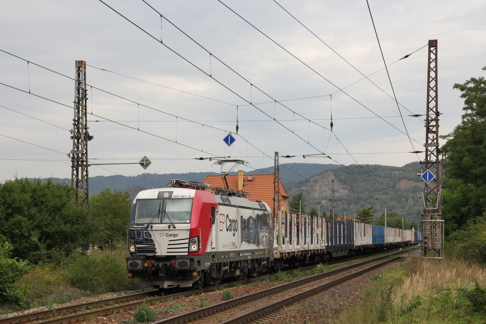 383 061-9