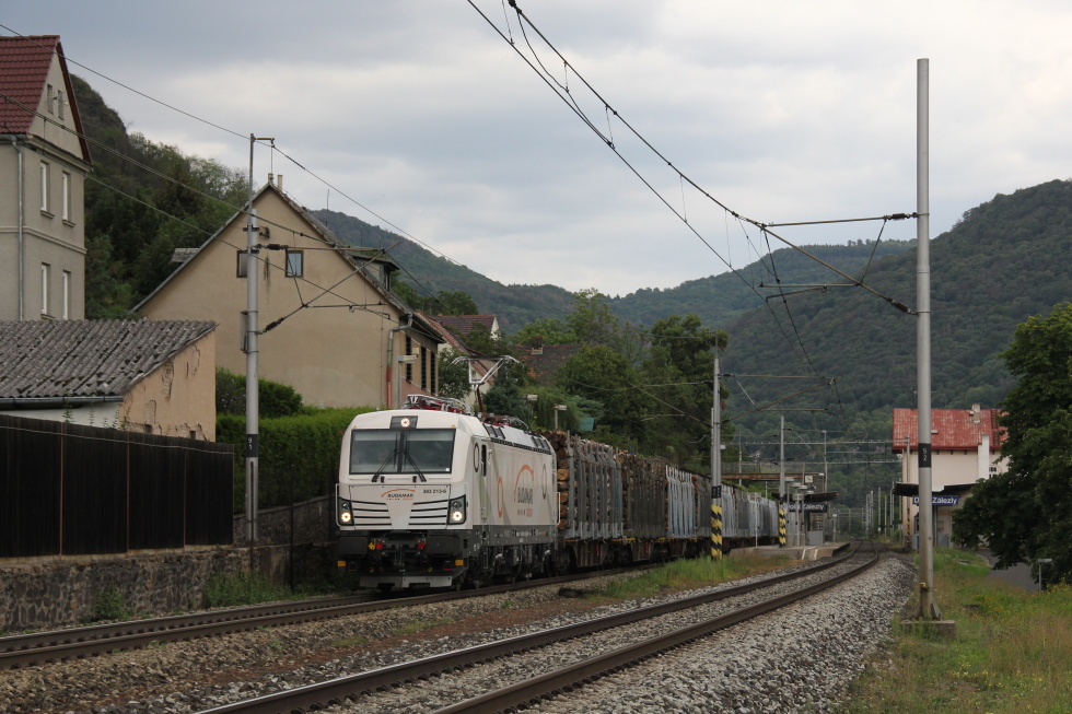 383 213-6