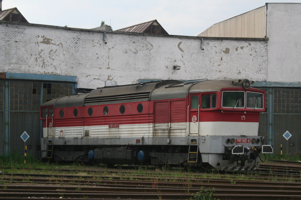 750 365-9