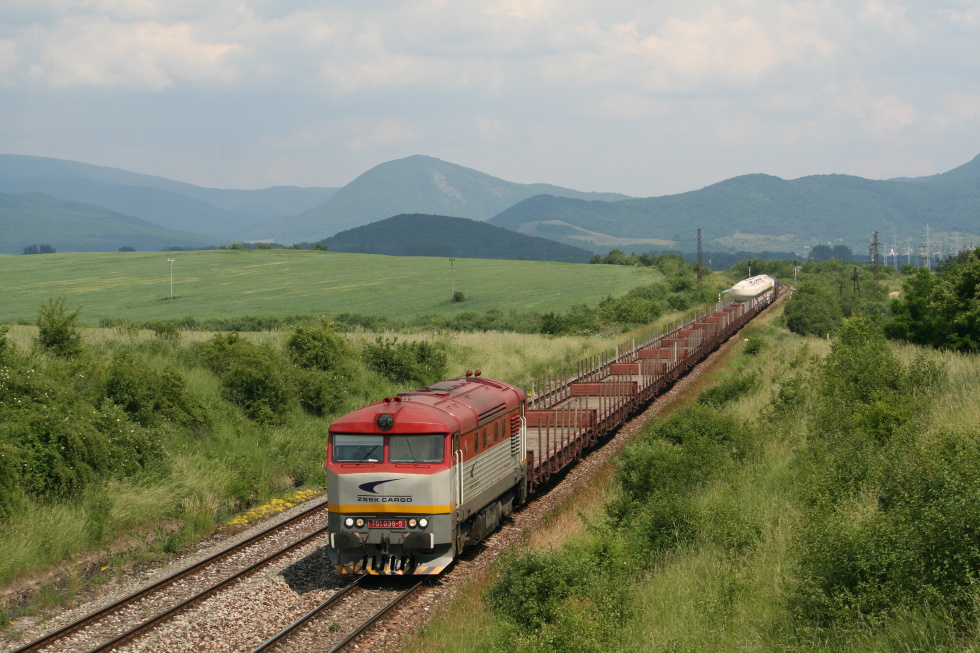 751 036-5