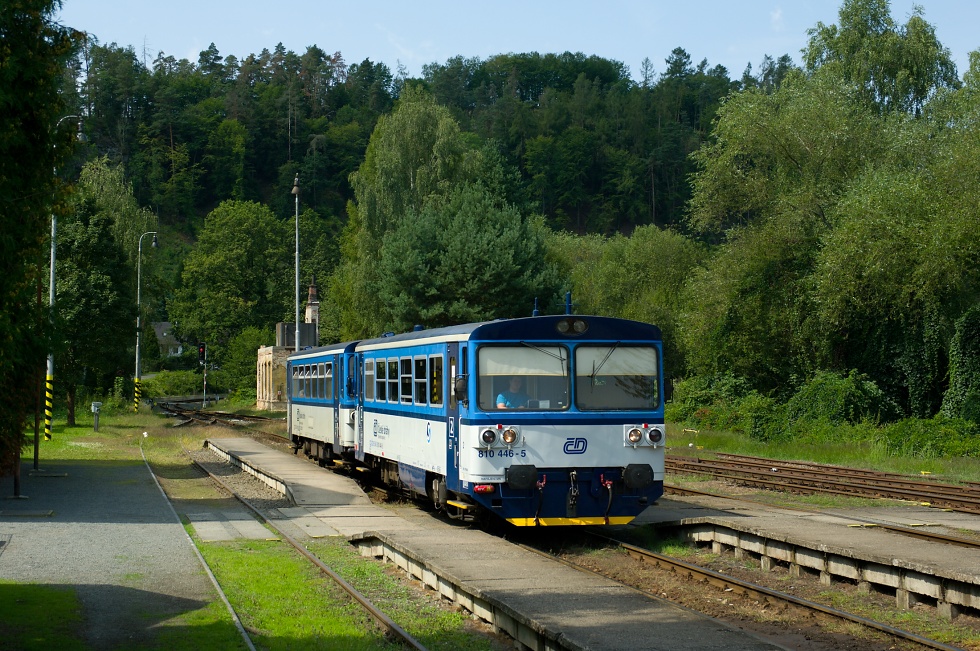 810 446-5